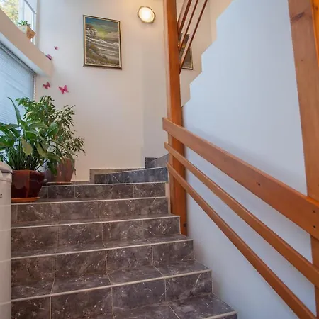 M Apartament